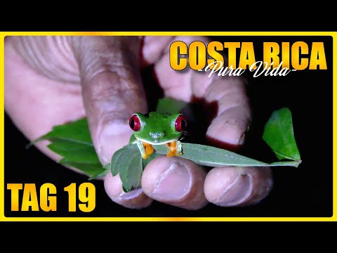 Indigene Bribri, Puerto Viejo & eine verlassene Finca bei Nacht | Costa Rica