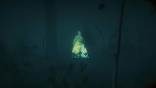 Swamp Ghost Girl Multiple Sightings in Red Dead Redemption 2