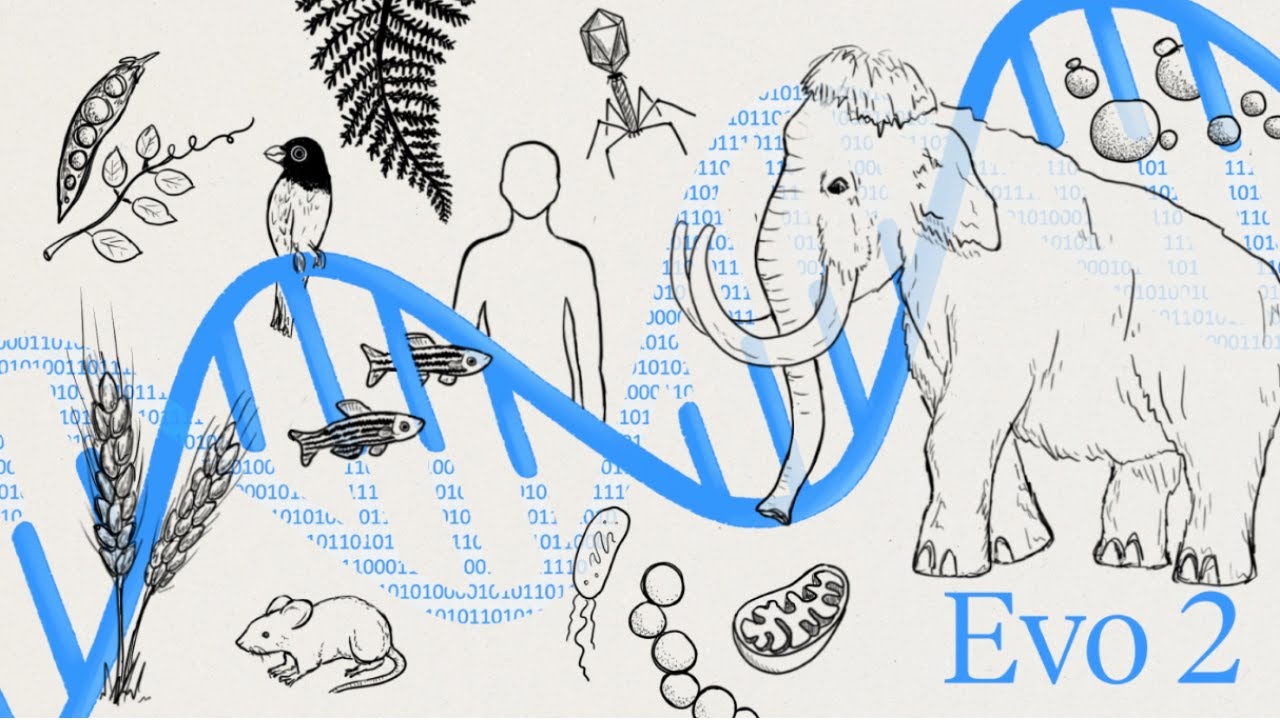 EVO2 - Generate DNA Sequences from Text with AI - Install Locally