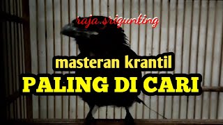 Download lagu TERBUKTI!!!  SRIGUNTING KRANTIL COCOK BUAT MASTERAN mp3