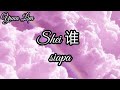 Shei 谁 Siapa Ceng Zhi Feng 曾至锋 Lyrics
