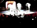 Elephants Ringling Bros And Barnum Bailey Circus Coney Island BOOM A RING 2009