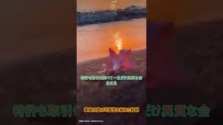 #日本株 #日経平均 #株式投資 #テクニカル分析 #投資戦略 #短期投資 #長期投資 #株初心者 #資産運用 #資産形成 #高配当株 #株価予測 #トレード初心者