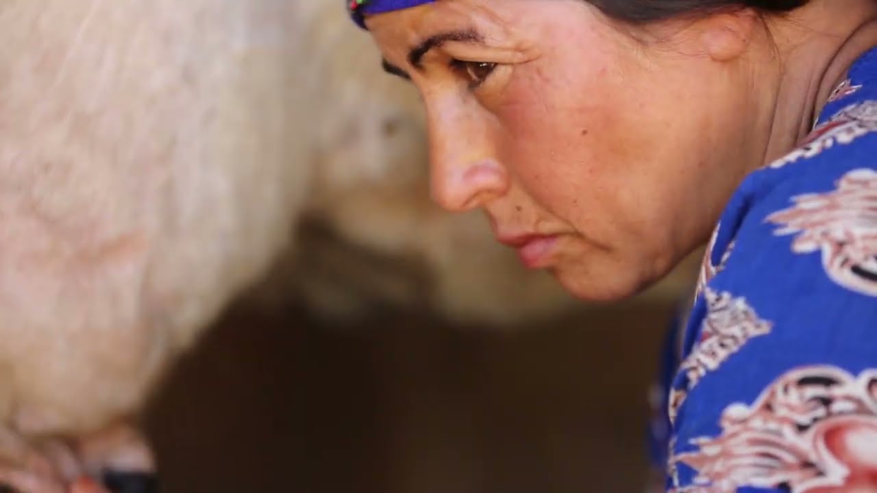 ILO Tunisia documentary film