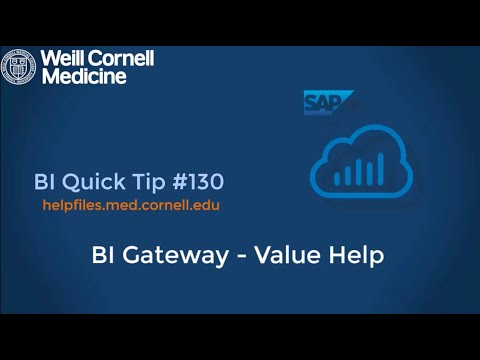 BI Quick Tip #130: How to use the Value Help button in the BI Gateway