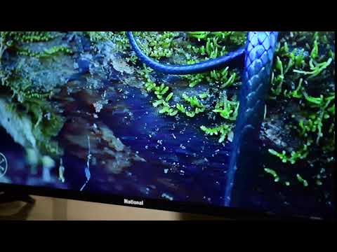 Euro National LED TV 40 Inch by Onesell.pk