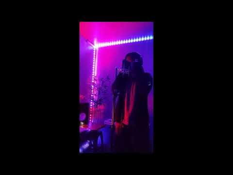 Deftones - Digital Bath (vocal cover)