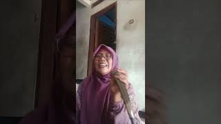 Download lagu Mamah feliz menghibur lagu pengobat rindu mp3