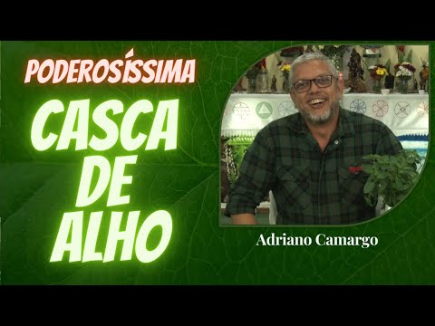Casca de Alho com Adriano Camargo [Rituais com Ervas]