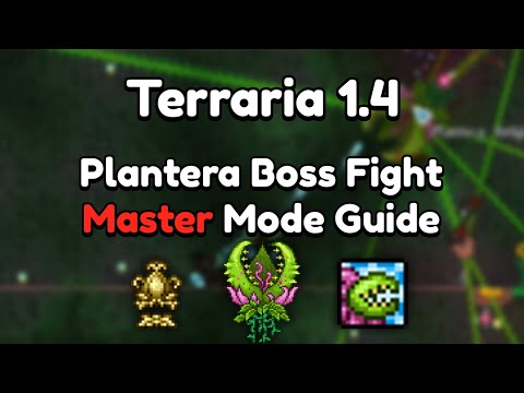 Expert Mode Boss Items TIER LIST // Terraria Comparison Series 
