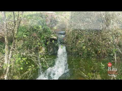 Herdade Em Ruína Para Turismo Rural 24,5 Hec. | Nelas