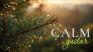 Beautiful Relaxing Guitar Music 2026 🌿 Peaceful Acoustic Instrumentals for Study, Work & Deep Focus
