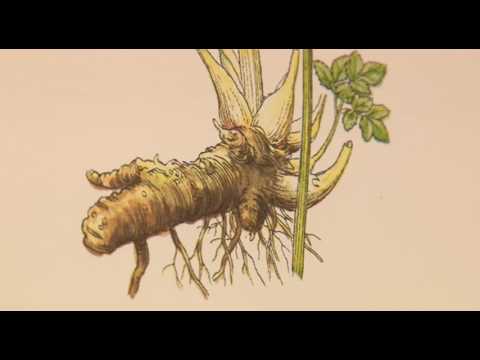 04/2017 - O zdraví, pro zdraví