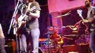 Dear and the headlights - oh no!