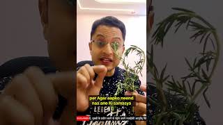 Download lagu Benefits of Rosemary Herb | Home Remedy for Migraine | Rosemary Water for Hair | गुलमेहेंदी के फायदे mp3