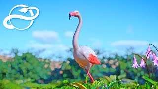 #11 新エリア始動！オオフラミンゴの飼育エリア  土台の制作【Planet Zoo・建築実況】