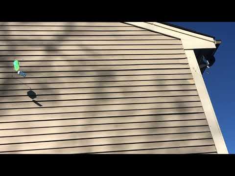 Safely Deterring Woodpeckers in Manasquan, NJ