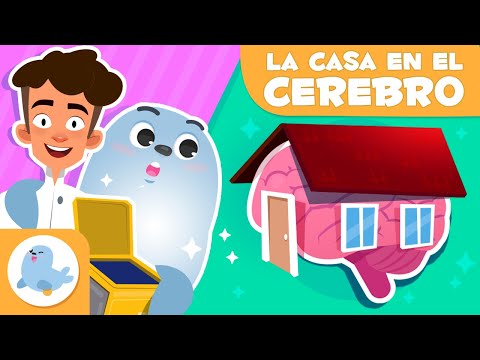 Una casa en el cerebro🏠 🧠 AUTORREGULACIÓN para niños