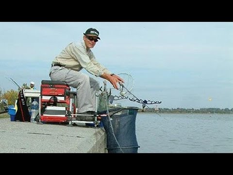 2003. év - Feederbottal állóvízen 1. rész - Velencei-tó