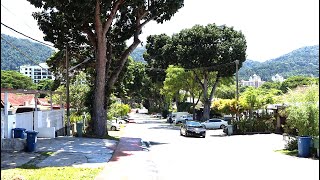 A relax tropical walk in Penang🌴🍒🍹famous food🌴🍹nutmeg juice🍒best Malaysia food🍒Malaysia travel guide