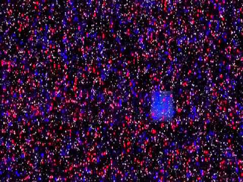 Cobalt-60 gamma source irradiation