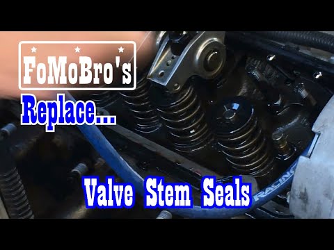 From Umbrella valve stem seals to positive stops seals. World Windsor Jr.’s