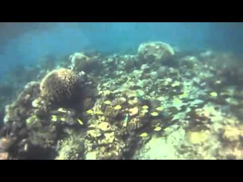 Exmouth 2013 Mikaela Greene