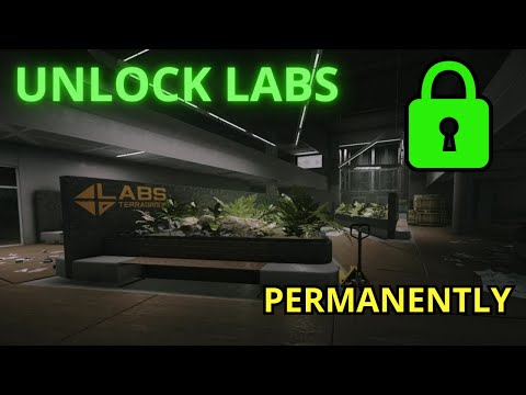 How to PERMANENTLY Unlock Labs in Escape from Tarkov 1.0 Guide Tour Main Story Task Guide