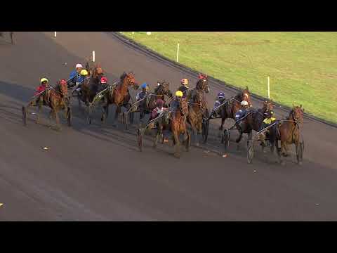 2018 GRAND PRIX DU BOURBONNAIS - LA COURSE - DELIA DU POMMEREUX