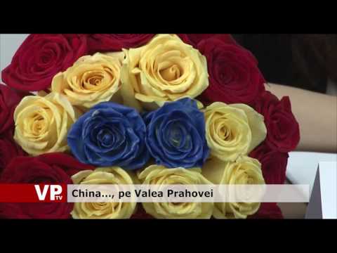 China, pe Valea Prahovei