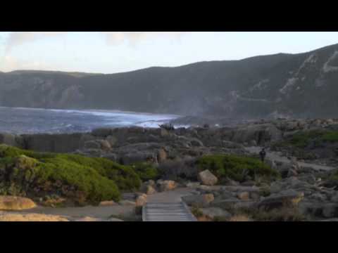 AT THE BREAK OF GONDWANA (Benjamin Yeo)