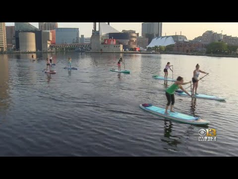 Paddle Boarding Comes To Baltimore's Inner Harbor