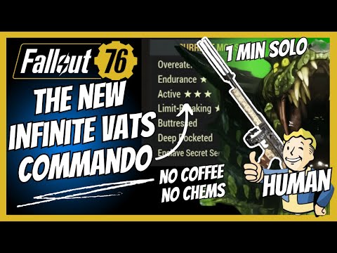 No Coffee No Chems No Problem INFINITE VATS Active HUMAN Commando Build Guide Fallout 76