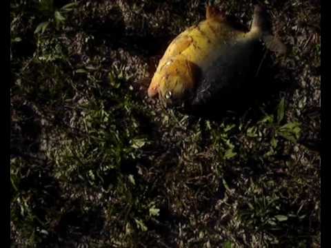 de paseo por urdinarrian 3