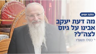 מה דעת יעקב אבינו על גיוס לצה״ל? | הרב שמואל אליהו | הלכה יומית | י׳ כסלו תשפ״ו (הרב שמואל אליהו) - התמונה מוצגת ישירות מתוך אתר האינטרנט יוטיוב. זכויות היוצרים בתמונה שייכות ליוצרה. קישור קרדיט למקור התוכן נמצא בתוך דף הסרטון