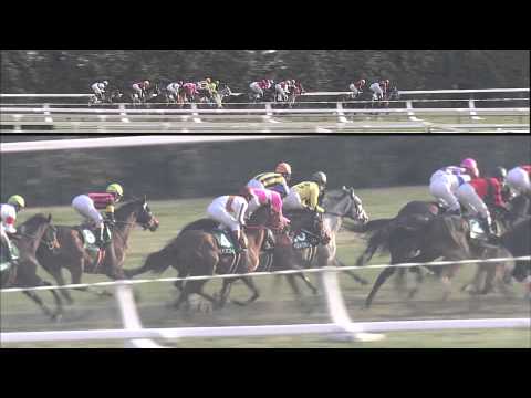 Hana's Goal wins the Gr 3-Tulip Sho (1600m) at Hanshin, Japan