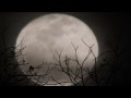 Lila Downs- La noche de mi mal