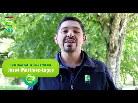 ¿Cuáles son los principios de la agroecología?