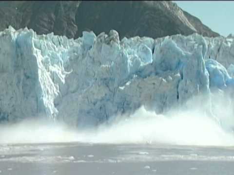 Wildest Arctic Preview