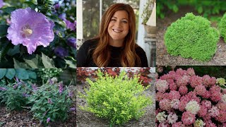 10 Small Shrubs that Will Fit In Any Garden! 🌿 // Garden Answer