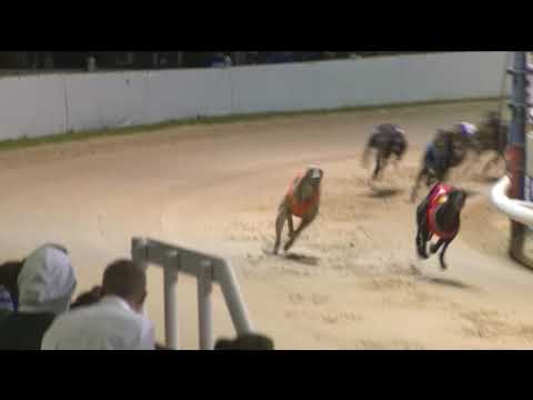 2019 CHAMPION STAKES FINAL - AAYAMZA EXPRESS