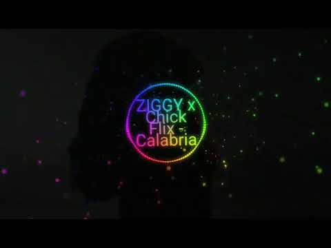 Ziggy X Chick Flix remix