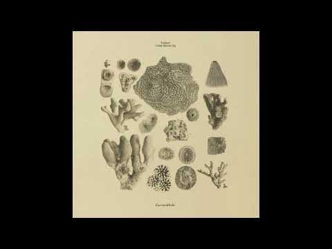 A2. Tulbure - Codul Morsei [CV013]