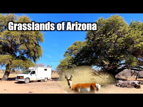 Moving Camp to Grasslands of Arizona