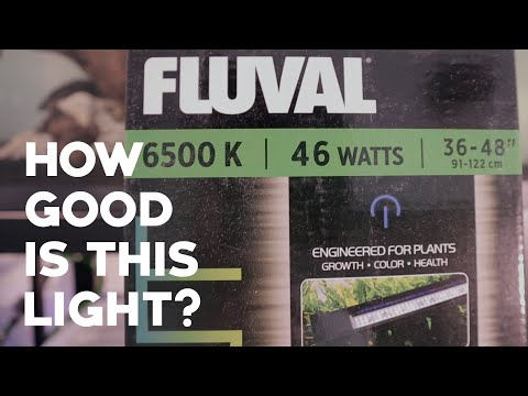 Review and Unboxing | Fluval Plant 3.0 LED Aquarium Planted Tank LED Light