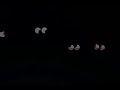 Winston Steinburger And Sir Durley Ding Dong Eyes In The Dark