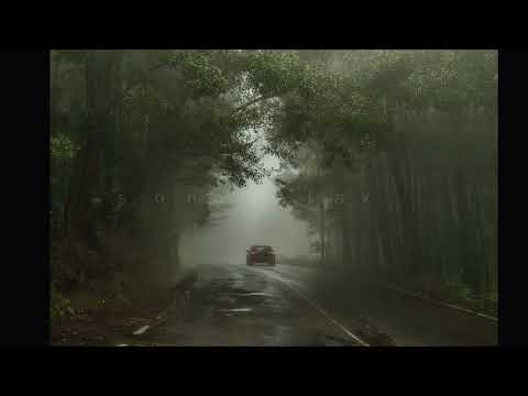 Rosyln - Bon Iver & St. Vicent ( 1 hour )