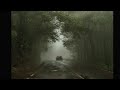 Rosyln - Bon Iver & St. Vicent ( 1 hour )