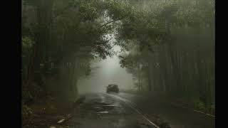 Rosyln - Bon Iver &amp; St. Vicent ( 1 hour )