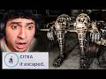 The Citra Nosey Animatronic Is DISTURBING